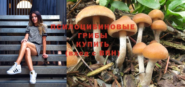 твердый Белоозёрский