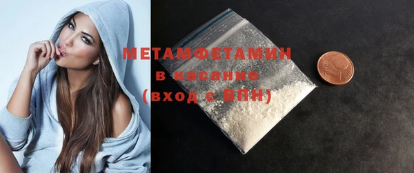 шишки Белокуриха