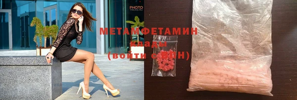 шишки Белокуриха