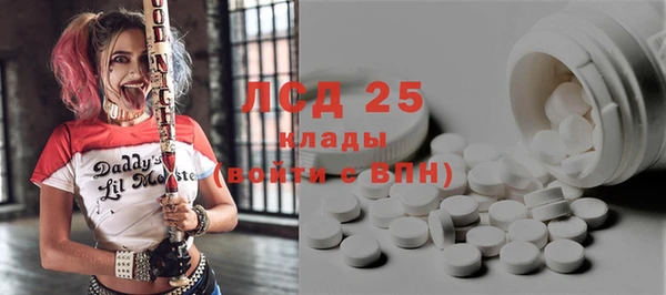 шишки Белокуриха