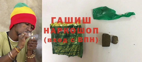 шишки Белокуриха