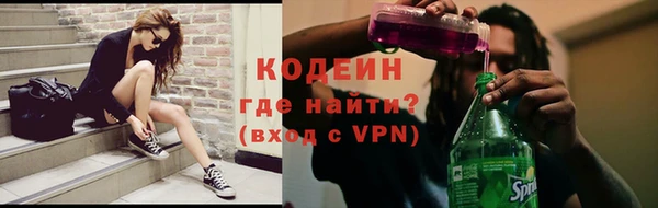 шишки Белокуриха