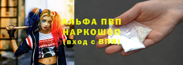 шишки Белокуриха