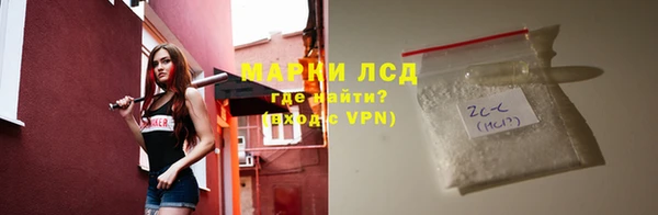 шишки Белокуриха