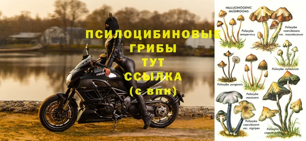 твердый Белоозёрский