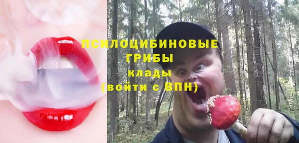 твердый Белоозёрский