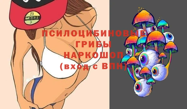 шишки Белокуриха